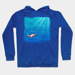 the last koi Hoodie